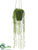 String of Pearls - Green - Pack of 4