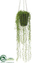 Silk Plants Direct String of Pearls - Green - Pack of 4