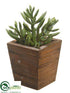 Silk Plants Direct Senecio - Green - Pack of 12