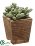 Silk Plants Direct Sedum - Green - Pack of 12