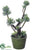Silk Plants Direct Sedum - Green Gray - Pack of 4