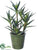 Silk Plants Direct Agave Plant - Green - Pack of 1