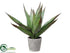 Silk Plants Direct Agave - Green - Pack of 1