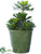Silk Plants Direct Echeveria - Green - Pack of 2
