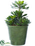 Silk Plants Direct Echeveria - Green - Pack of 2