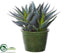 Silk Plants Direct Agave Plant - Green - Pack of 6