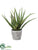Silk Plants Direct Aloe - Green - Pack of 1