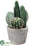 Silk Plants Direct Cactus - Green - Pack of 2