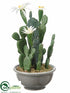 Silk Plants Direct Cactus - White Green - Pack of 6
