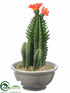 Silk Plants Direct Cactus - Orange Green - Pack of 6
