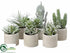 Silk Plants Direct Succulent - Green Gray - Pack of 1