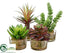 Silk Plants Direct Succulent - Assorted - Pack of 4
