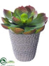 Silk Plants Direct Echeveria - Green - Pack of 6