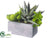 Silk Plants Direct Agave, Echeveria - Green - Pack of 4