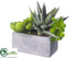 Silk Plants Direct Agave, Echeveria - Green - Pack of 4