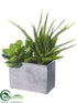 Silk Plants Direct Agave, Echeveria - Green - Pack of 2
