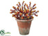 Silk Plants Direct Sedum - Burgundy Green - Pack of 1