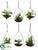 Silk Plants Direct Succulent - Assorted - Pack of 6