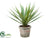 Silk Plants Direct Yucca Plant - Green - Pack of 6