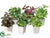 Silk Plants Direct Greenery Arrangement - Green Burgundy - Pack of 12
