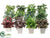 Greenery - Assorted - Pack of 12