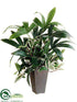 Silk Plants Direct Rhapis Fern, Wandering Jew - Green - Pack of 6