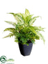 Silk Plants Direct Aglaonema - Green - Pack of 6