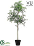 Outdoor Aralia Tree - Green - Pack of 2