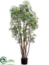 Silk Plants Direct Aralia Tree - Green - Pack of 2