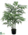 Bamboo Palm Tree - Green - Pack of 4