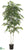 White Paper Birch Tree - Green - Pack of 2