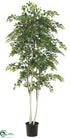 Silk Plants Direct White Paper Birch Tree - Green - Pack of 2