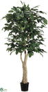 Silk Plants Direct Banyan Tree - Green Two Tone - Pack of 2
