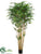 Bamboo Tree - Green - Pack of 2