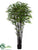 Black Bamboo Tree - Green Two Tone - Pack of 2