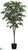 Banyan Tree - Green - Pack of 2