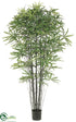 Silk Plants Direct False Aralia Black Bamboo Tree - Green Two Tone - Pack of 2