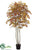 White Paper Birch Tree - Rust Yellow - Pack of 2