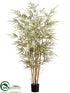 Silk Plants Direct Bamboo Tree - Variegated - Pack of 2