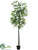 Bamboo Tree - Green - Pack of 1