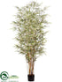 Silk Plants Direct Bamboo Tree - Variegated - Pack of 2