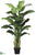 Banana Tree - Green - Pack of 2