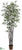 Black Bamboo Tree - Green Two Tone - Pack of 2