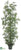 Bamboo Tree - Green - Pack of 2