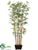 Bamboo Tree - Natural - Pack of 2