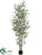 Bamboo Tree - Green Two Tone - Pack of 2