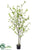 Silk Plants Direct Cornus Tree - Green - Pack of 2