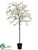 Dogwood Tree - Cream - Pack of 1