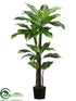 Silk Plants Direct Dieffenbachia Tree - Variegated - Pack of 2