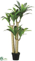 Silk Plants Direct Tropical Dracaena Tree - Green - Pack of 2